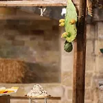 Antica Masseria Martuccio Szálloda 4*